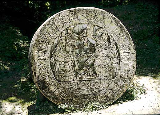 1263y